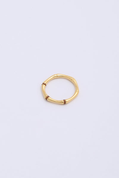 Ami Ring Gold/Brown